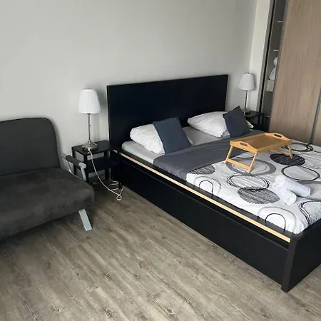 Grand Pour Max 11 Personnes * Brest
